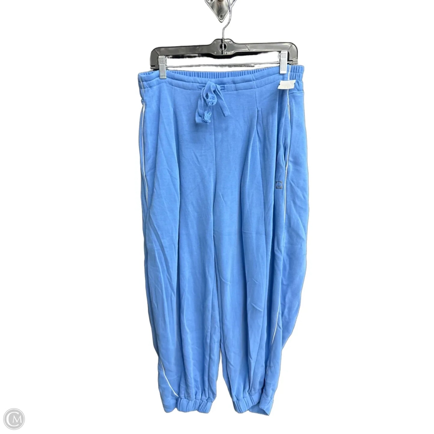 Pants Joggers By Daily Practice By Anthropologie In Blue, Size: 10