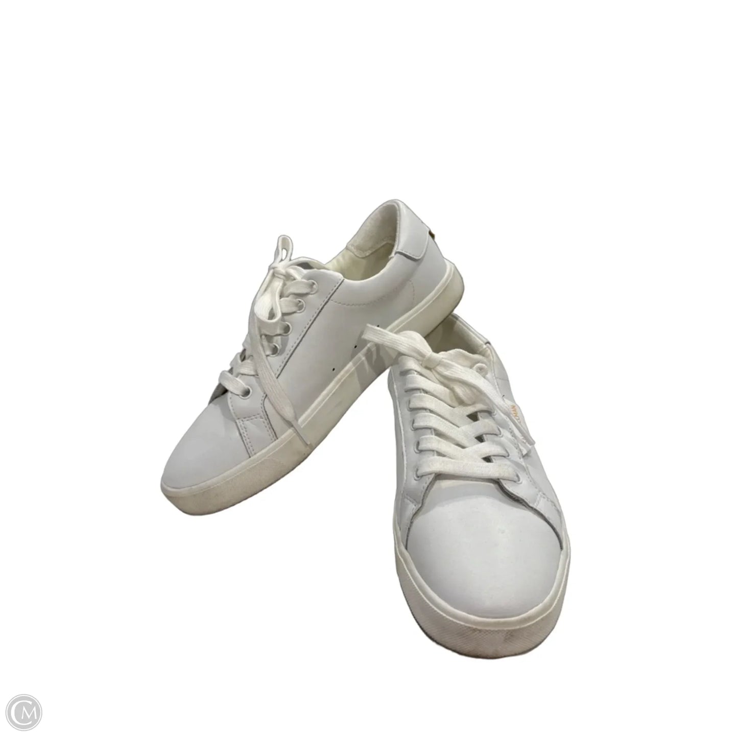 Shoes Sneakers By Sam Edelman In White, Size: 8