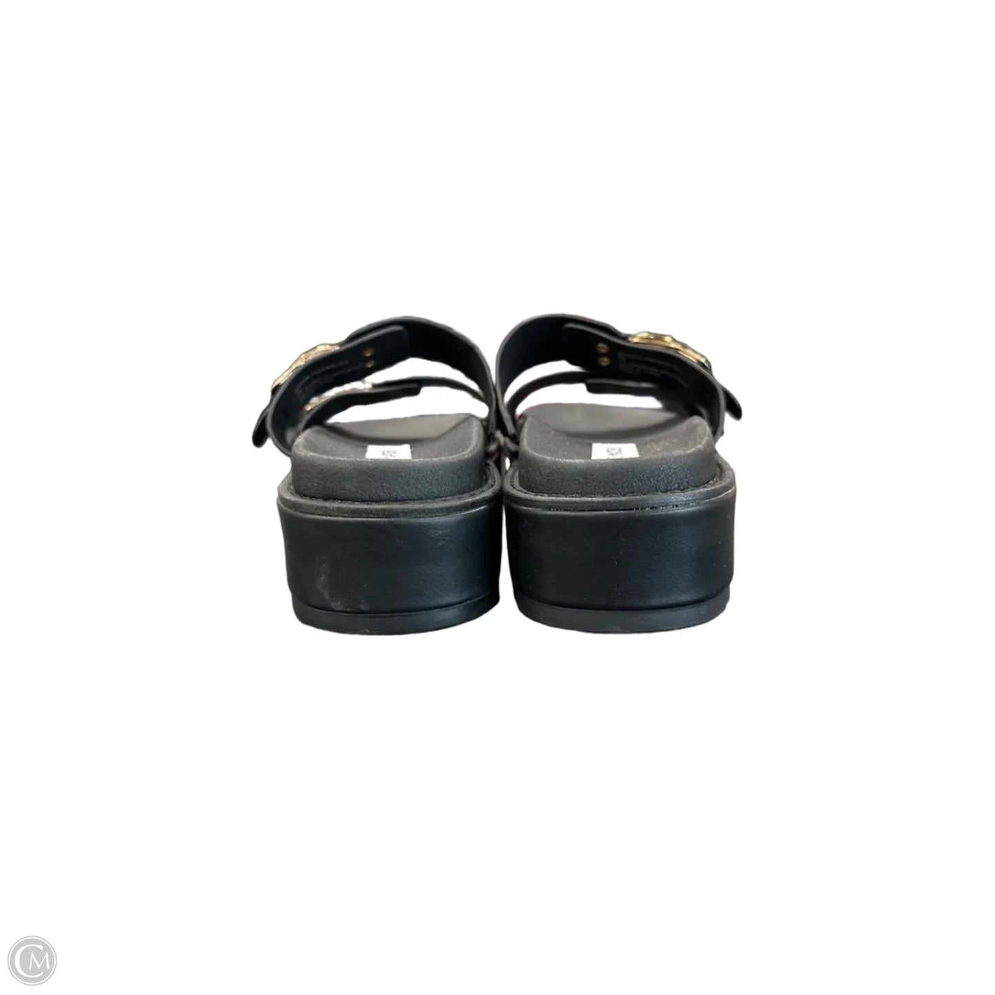 Shoes Flats By Steve Madden In Black, Size: 8