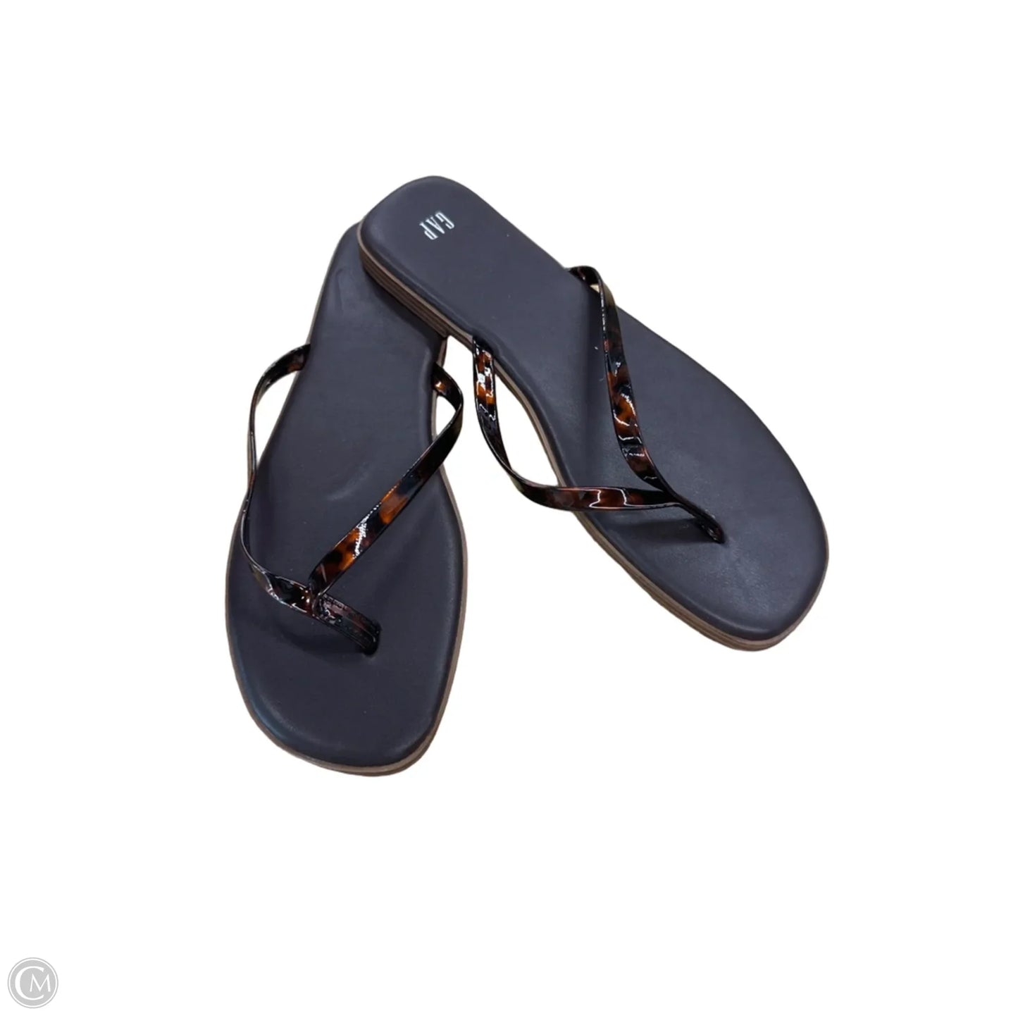 Sandals Flip Flops By Gap In Brown, Size: 9