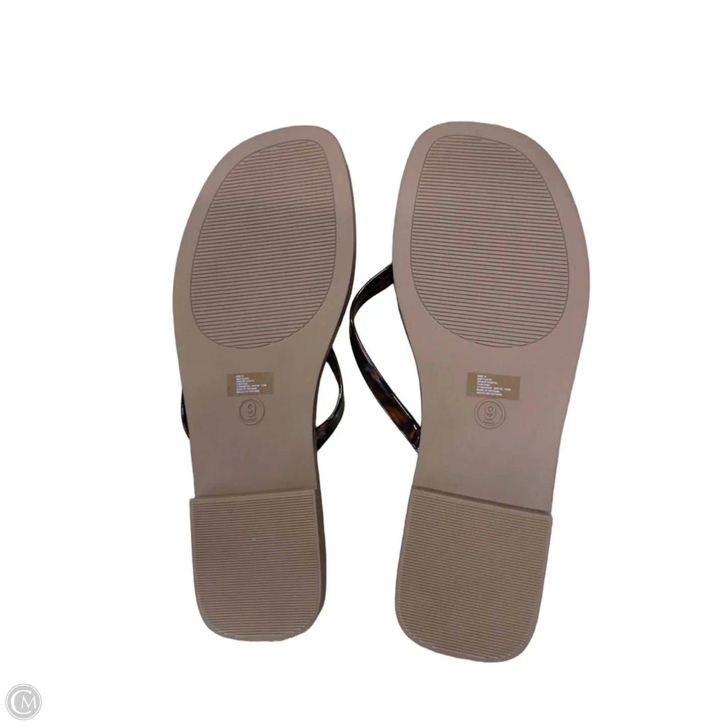 Sandals Flip Flops By Gap In Brown, Size: 9