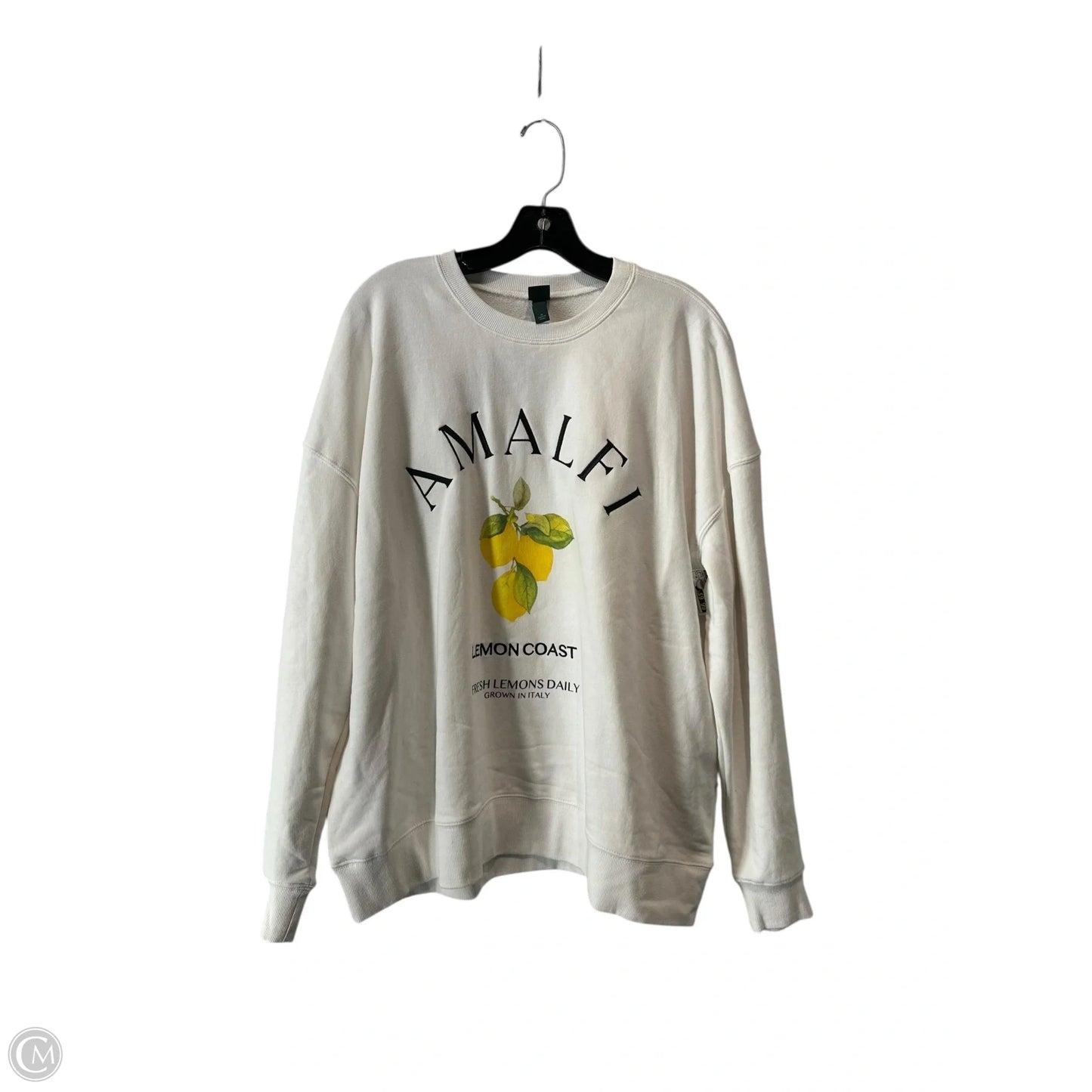 Sweatshirt Crewneck By Wild Fable In White, Size: M