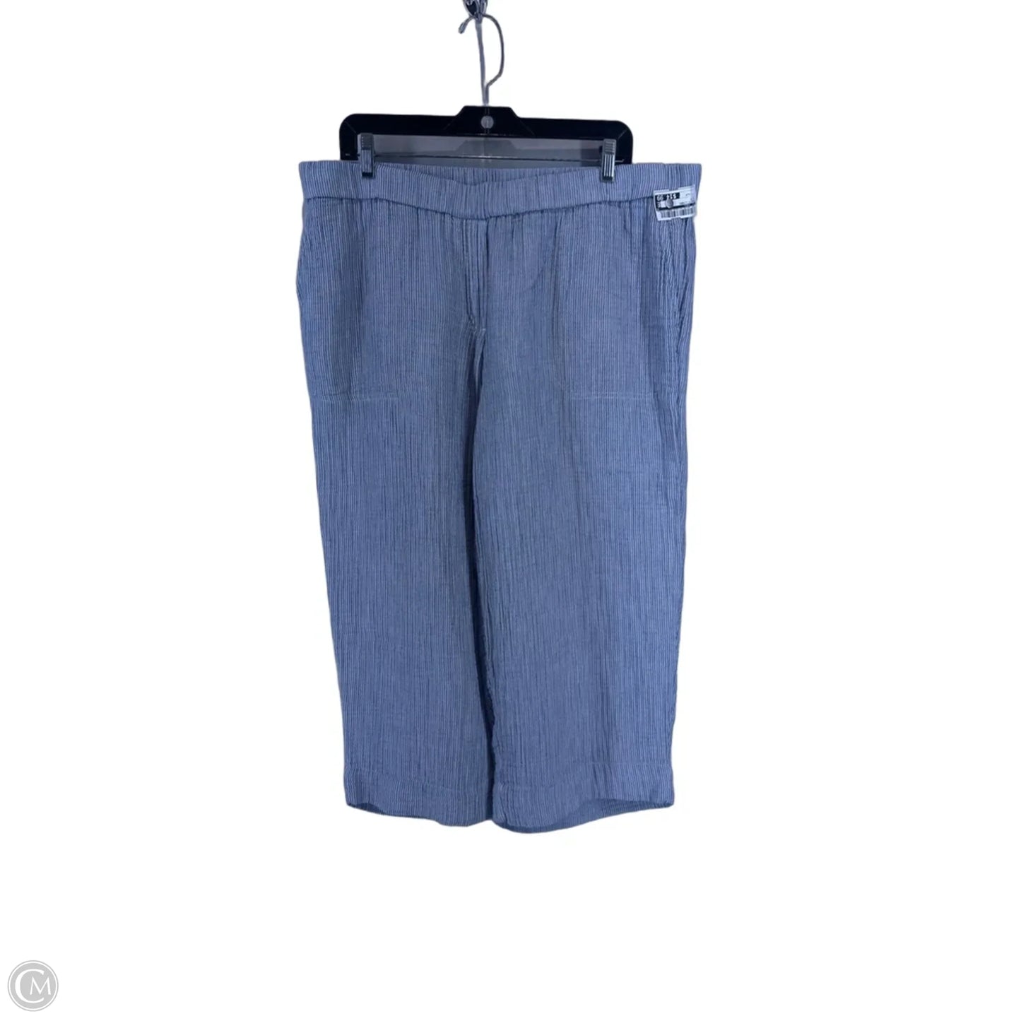 Pants Linen By J. Jill In Blue, Size: Xlp