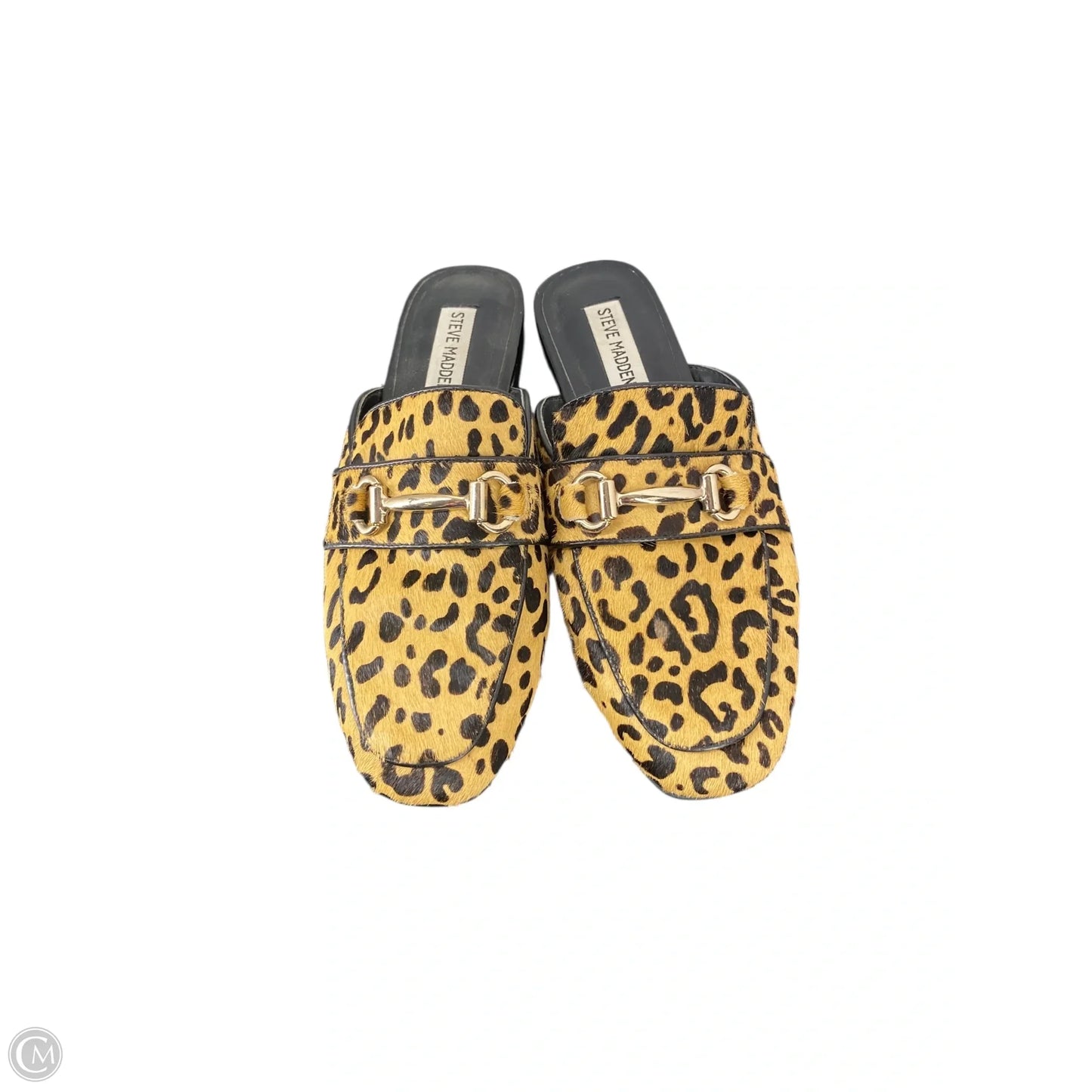 Shoes Flats By Steve Madden In Animal Print, Size: 7.5
