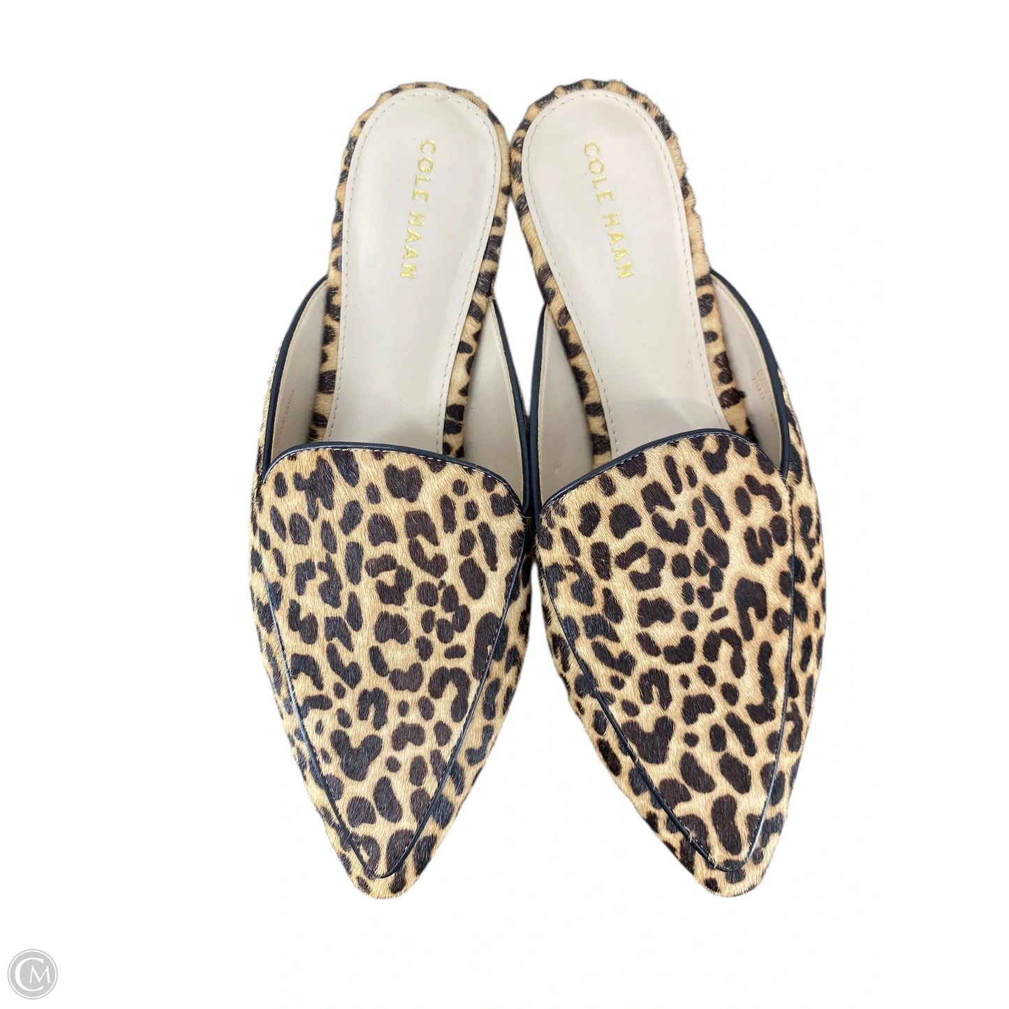 Shoes Flats By Cole-haan In Animal Print, Size: 6.5