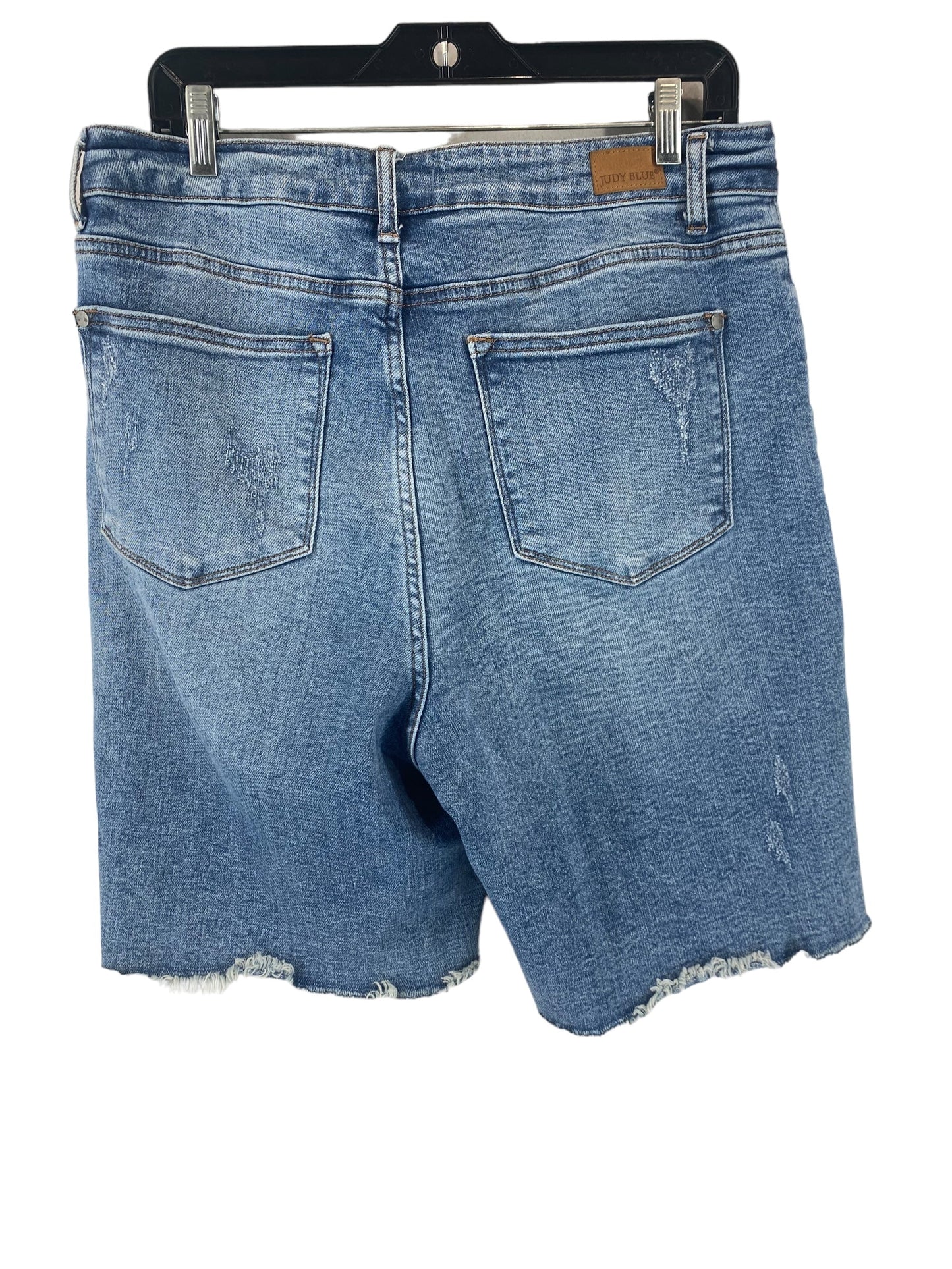 Blue Denim Shorts Judy Blue, Size 1x