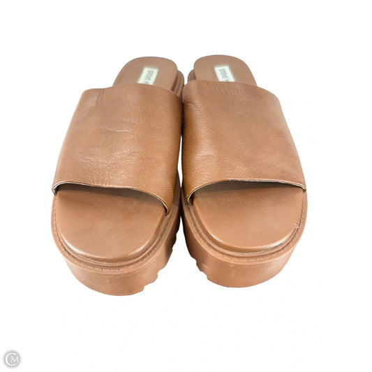 Shoes Flats By Steve Madden In Brown, Size: 8