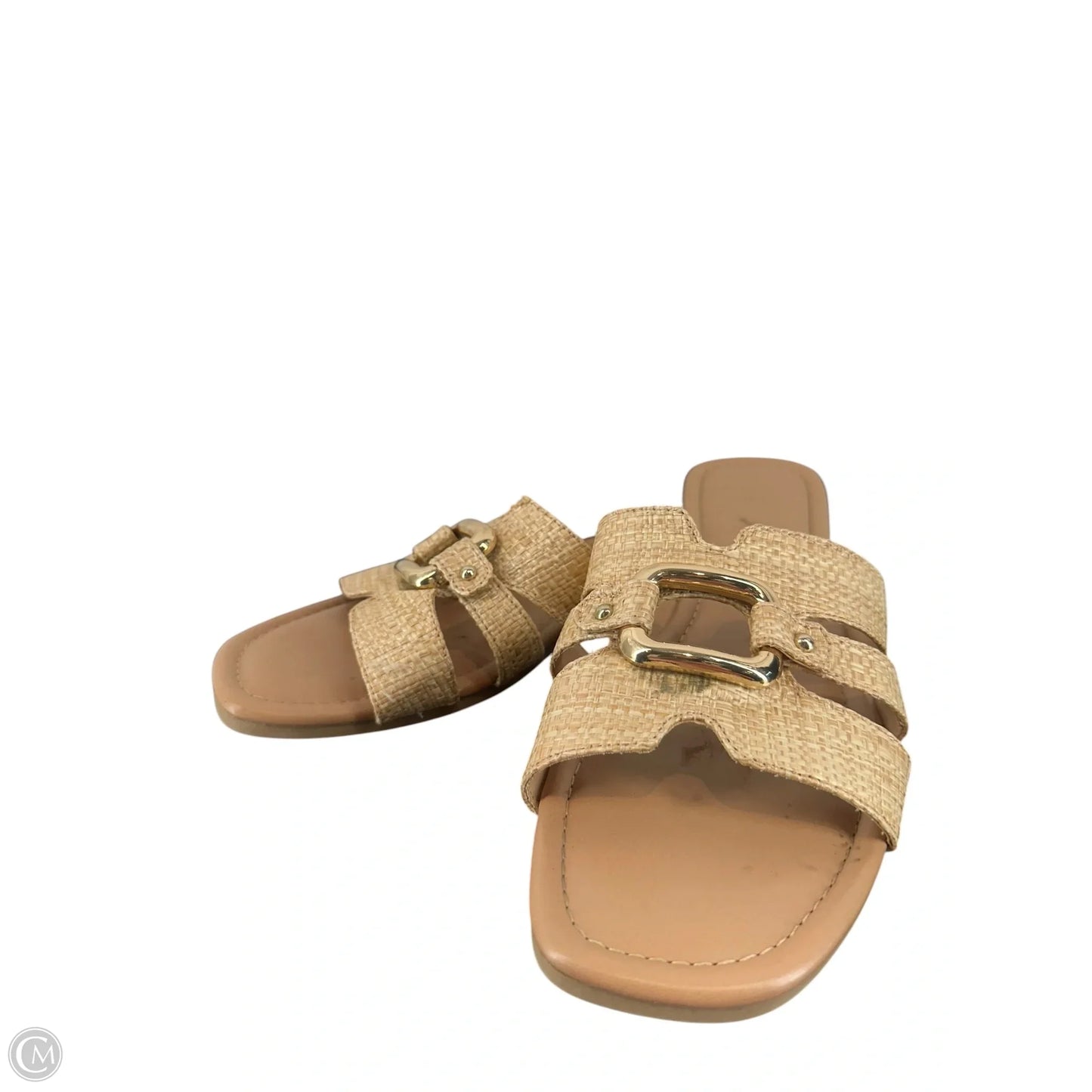 Sandals Flats By Time And Tru In Gold, Size: 11