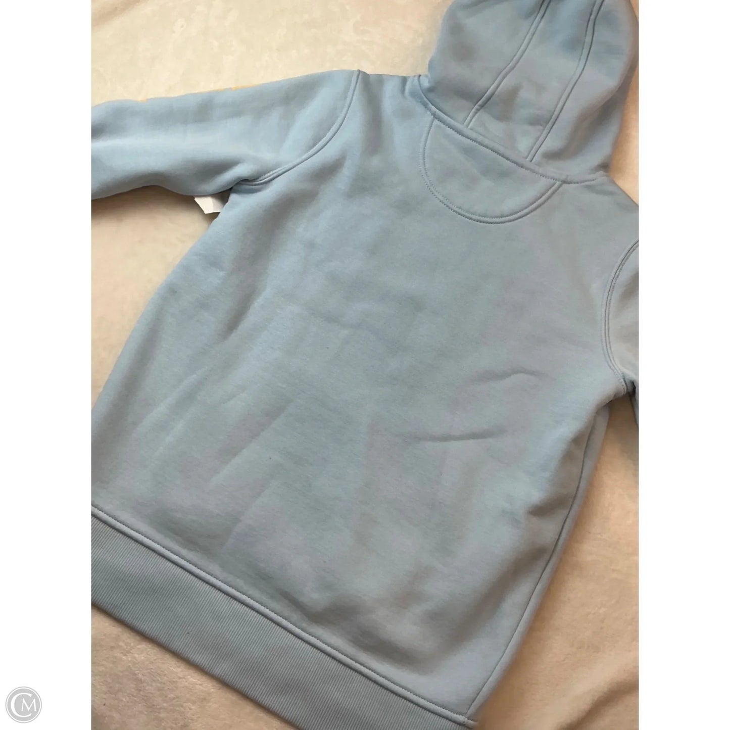 Sweatshirt Hoodie By Carhartt In Blue, Size: Xs
