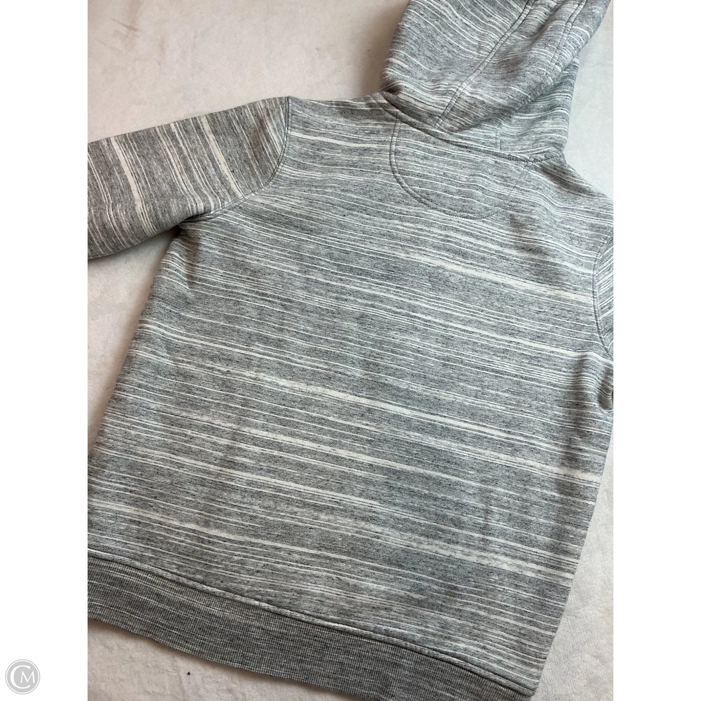 Sweatshirt Hoodie By Carhartt In Grey, Size: M