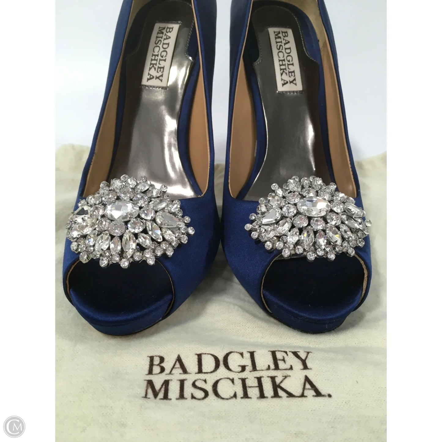 Shoes Heels Platform By Badgley Mischka In Blue, Size: 7