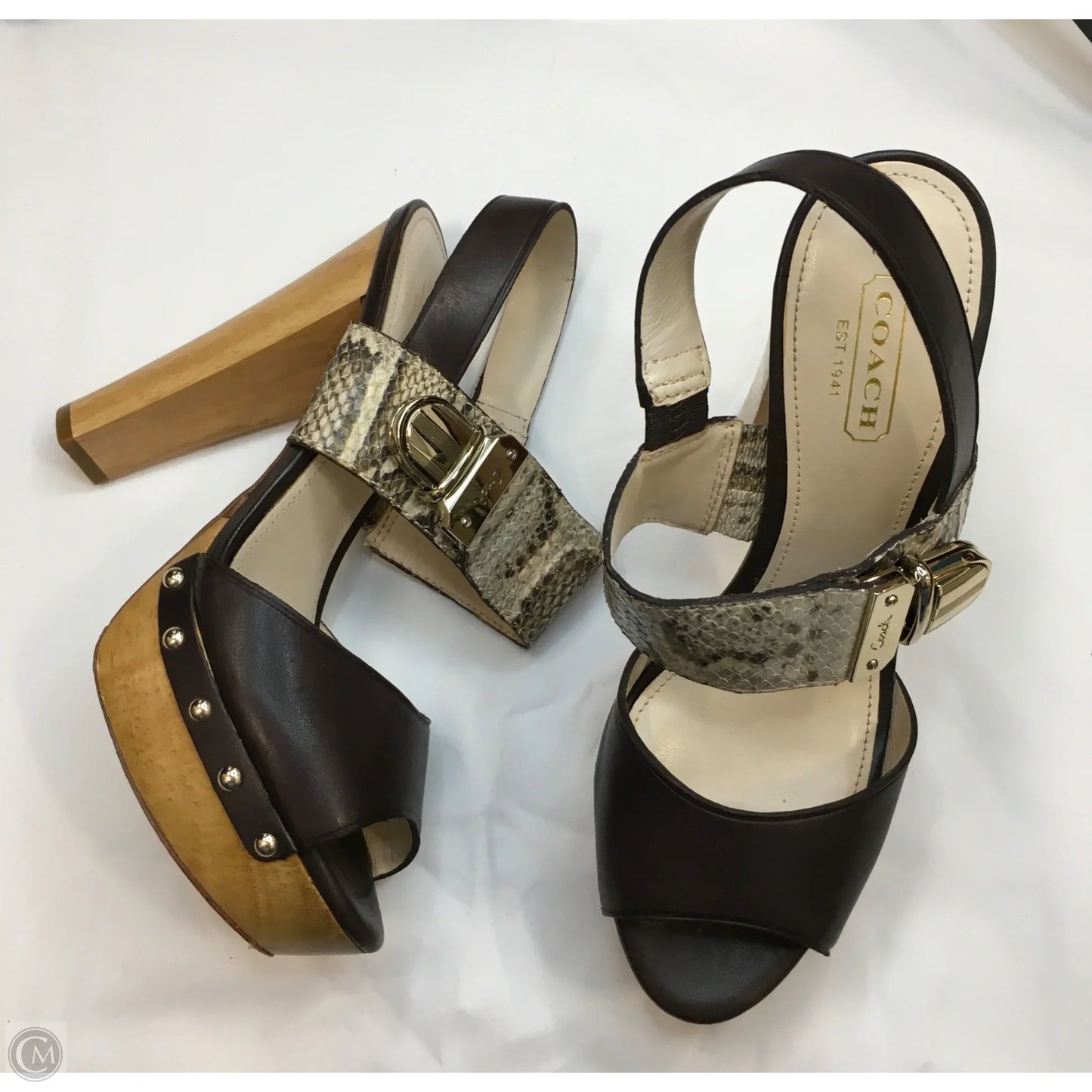 Shoes Designer By Coach In Animal Print, Size: 5.5