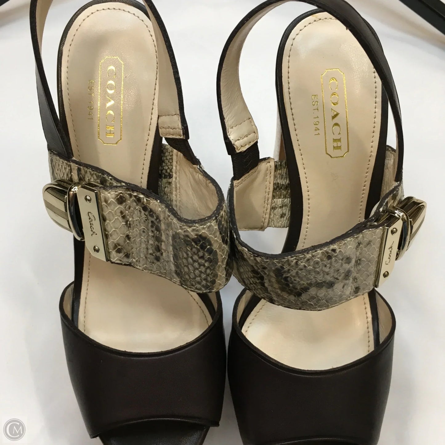 Shoes Designer By Coach In Animal Print, Size: 5.5