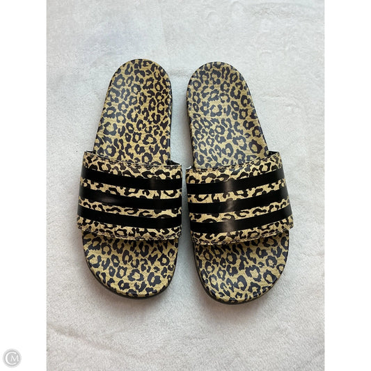 Sandals Flip Flops By Adidas In Animal Print, Size: 8