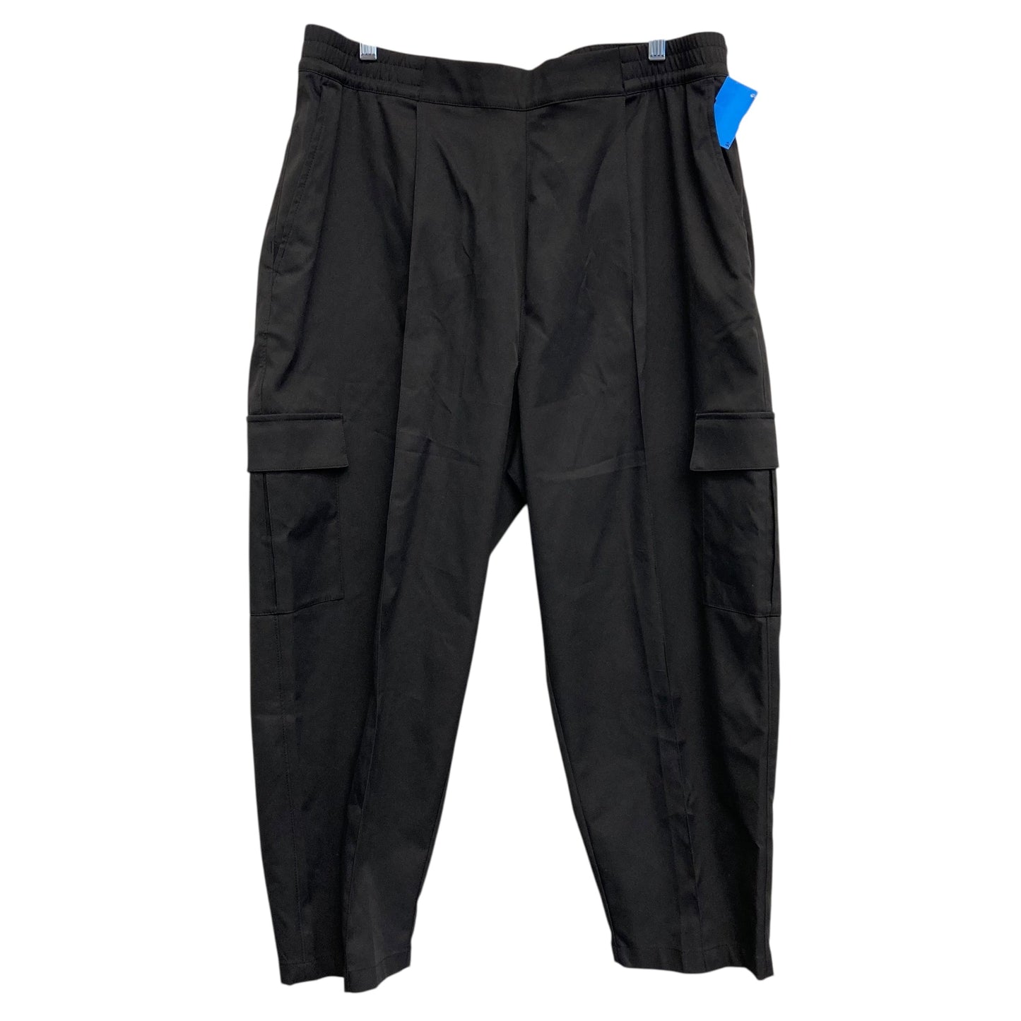 Pants Cargo & Utility By The North Face In Black, Size:1X
