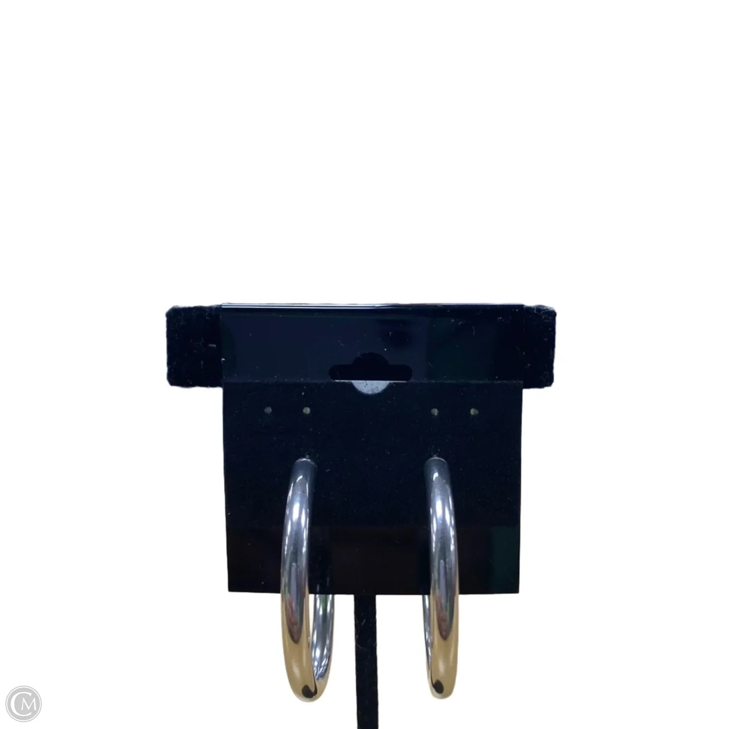 Earrings Hoop