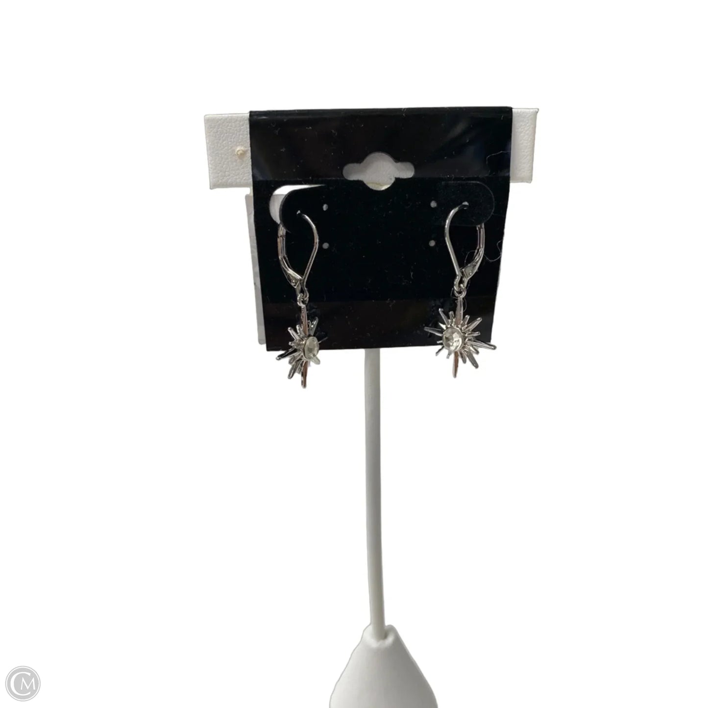 Earrings Dangle/drop