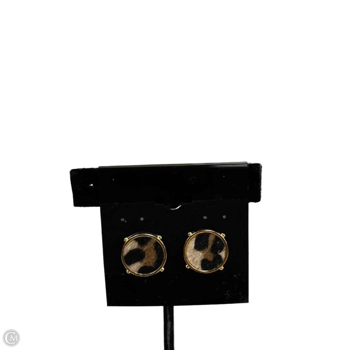 Earrings Stud