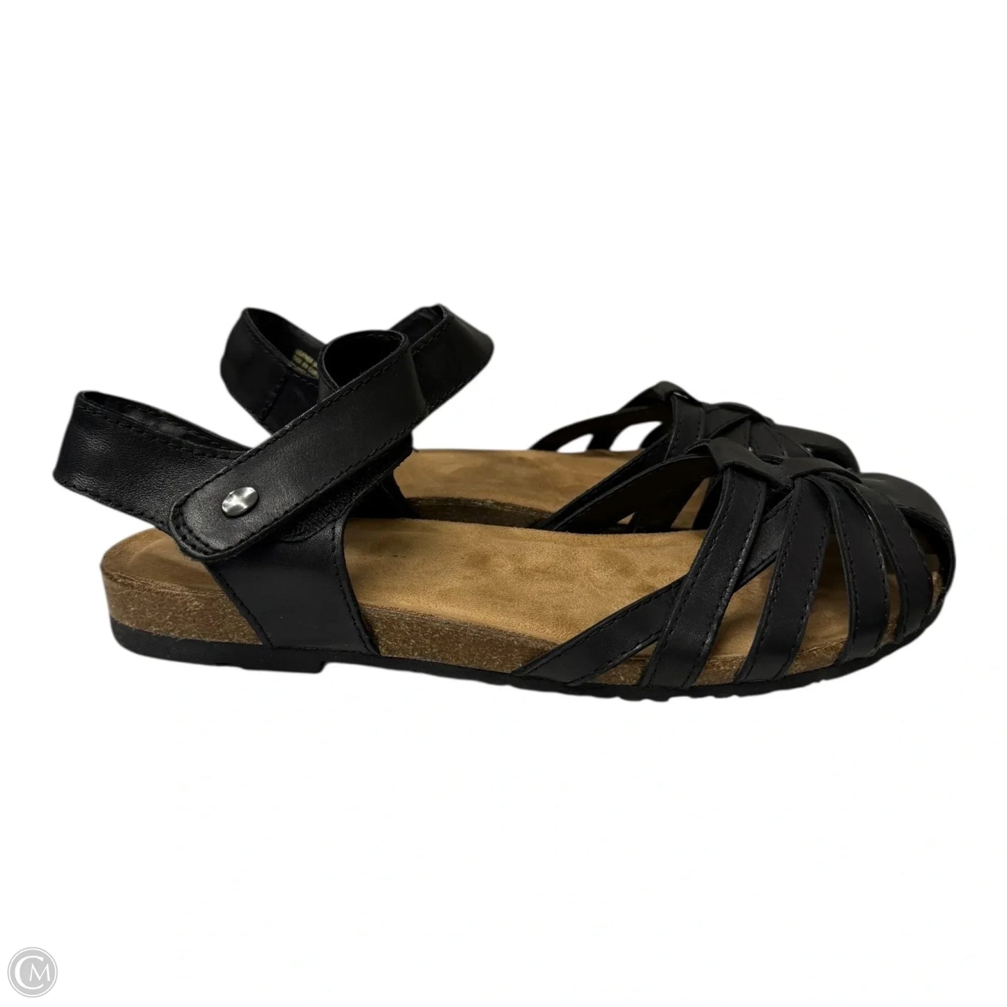 Shoes Flats By Earth In Black, Size: 9.5