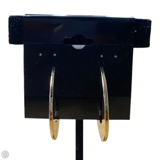 Earrings Hoop