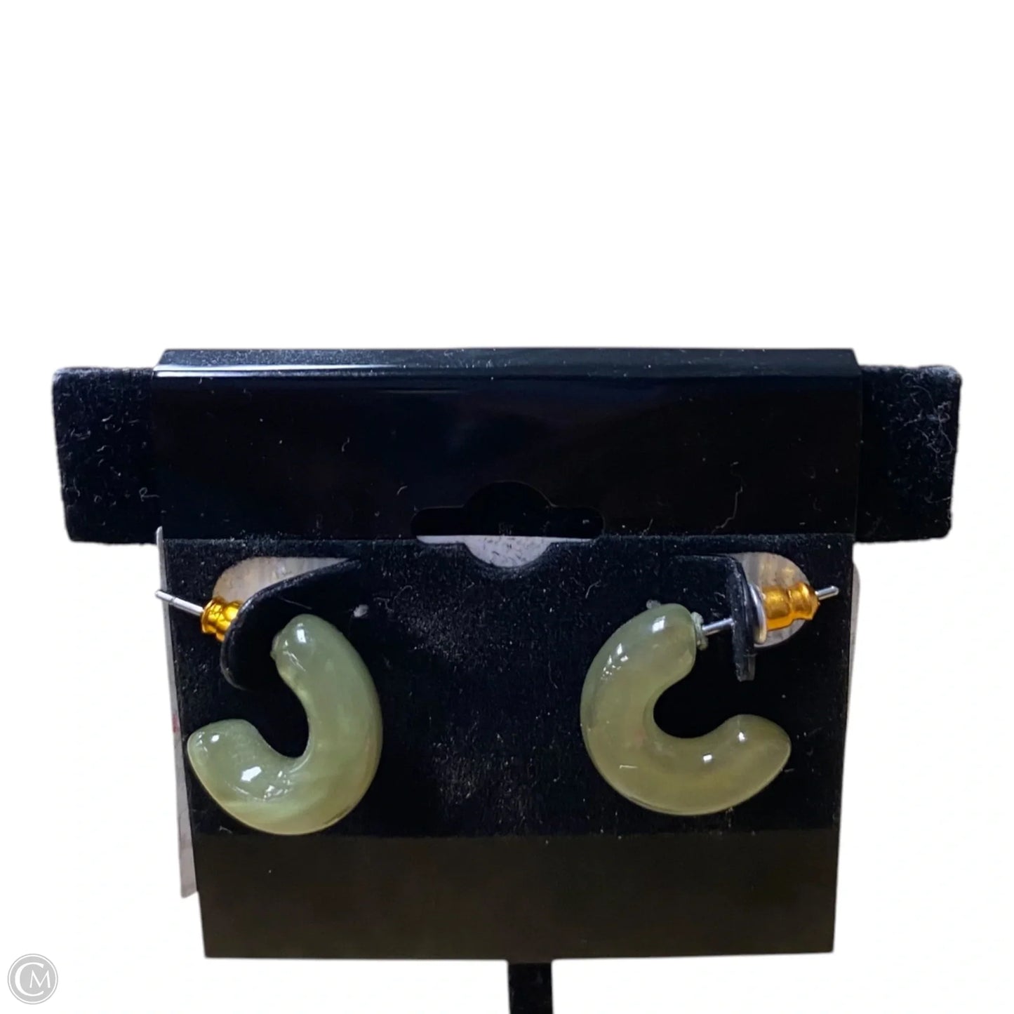 Earrings Hoop