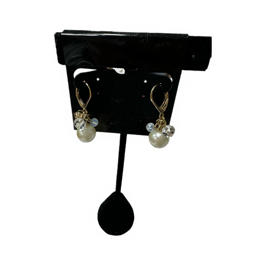 Earrings Dangle/drop