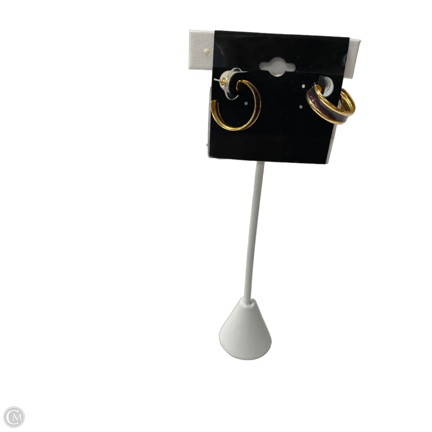 Earrings Hoop