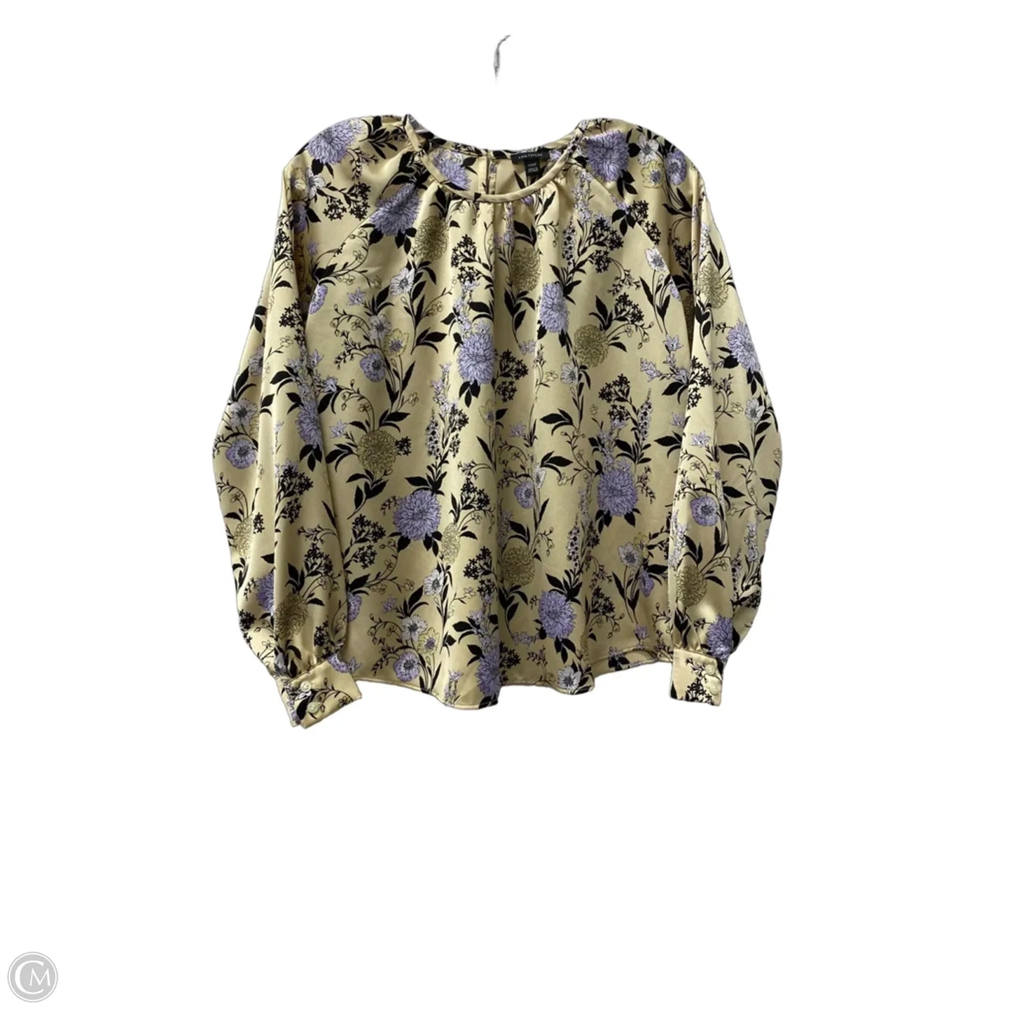 Top Long Sleeve By Ann Taylor In Tan, Size: Xxsp