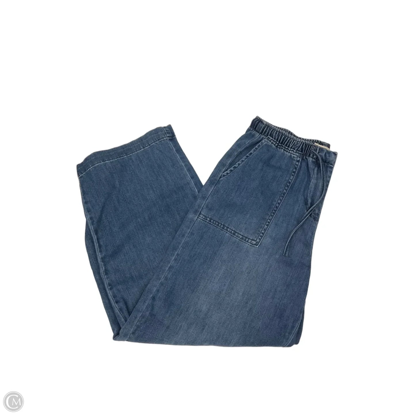 Pants Cargo & Utility By Oat In Blue Denim, Size: 2