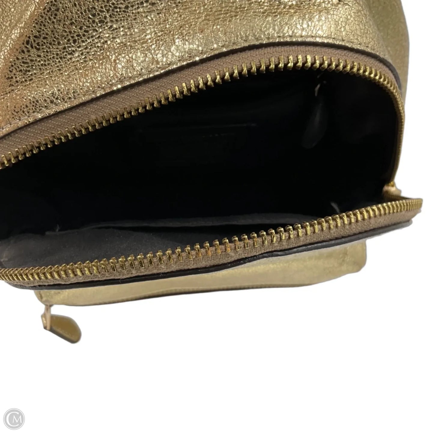 Backpack Designer By Coach, Size: Small