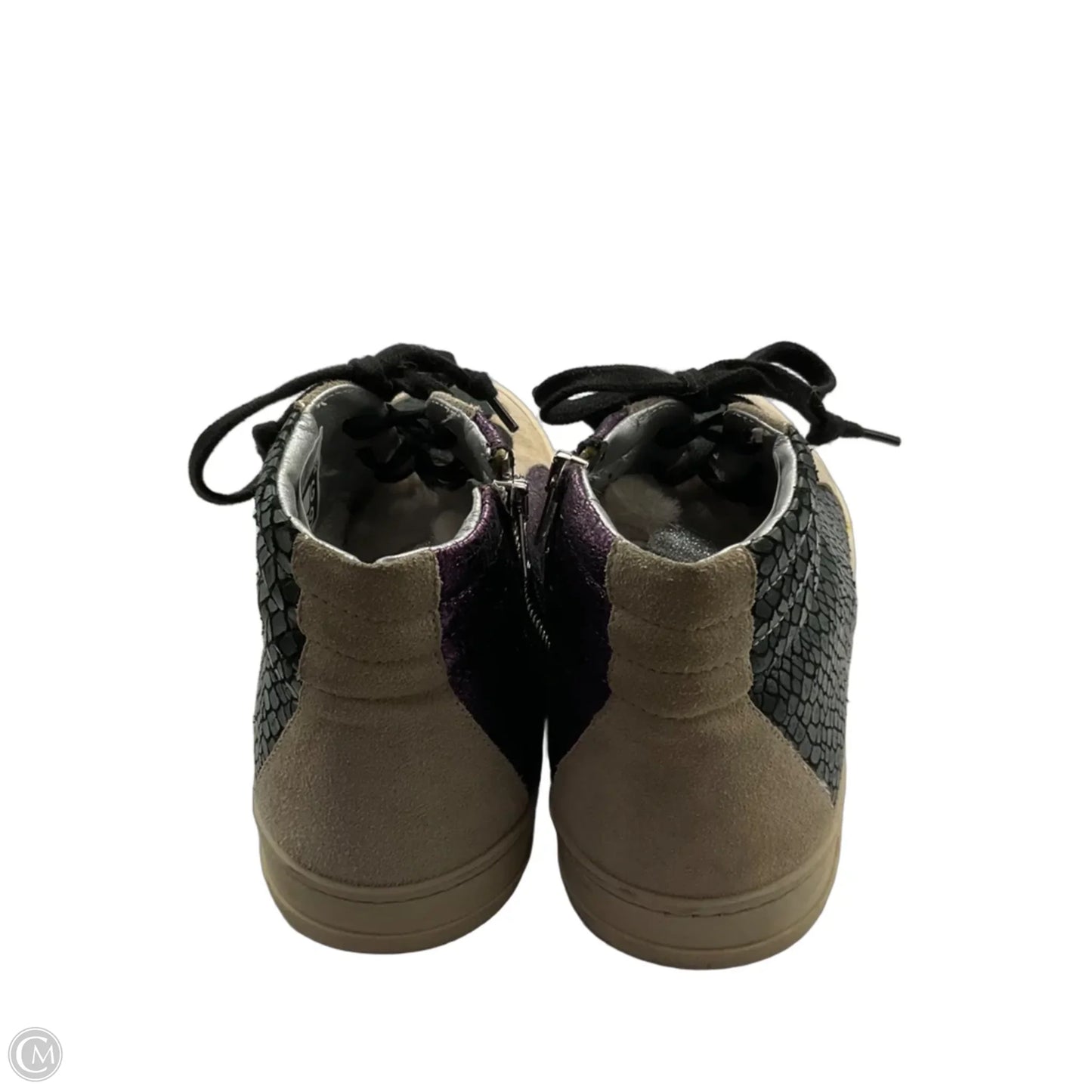 Shoes Sneakers By P448 In Green & Purple, Size: 10