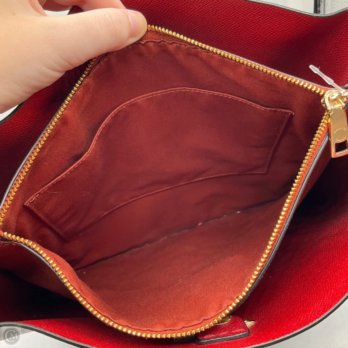Crossbody Designer By Coach, Size: Large