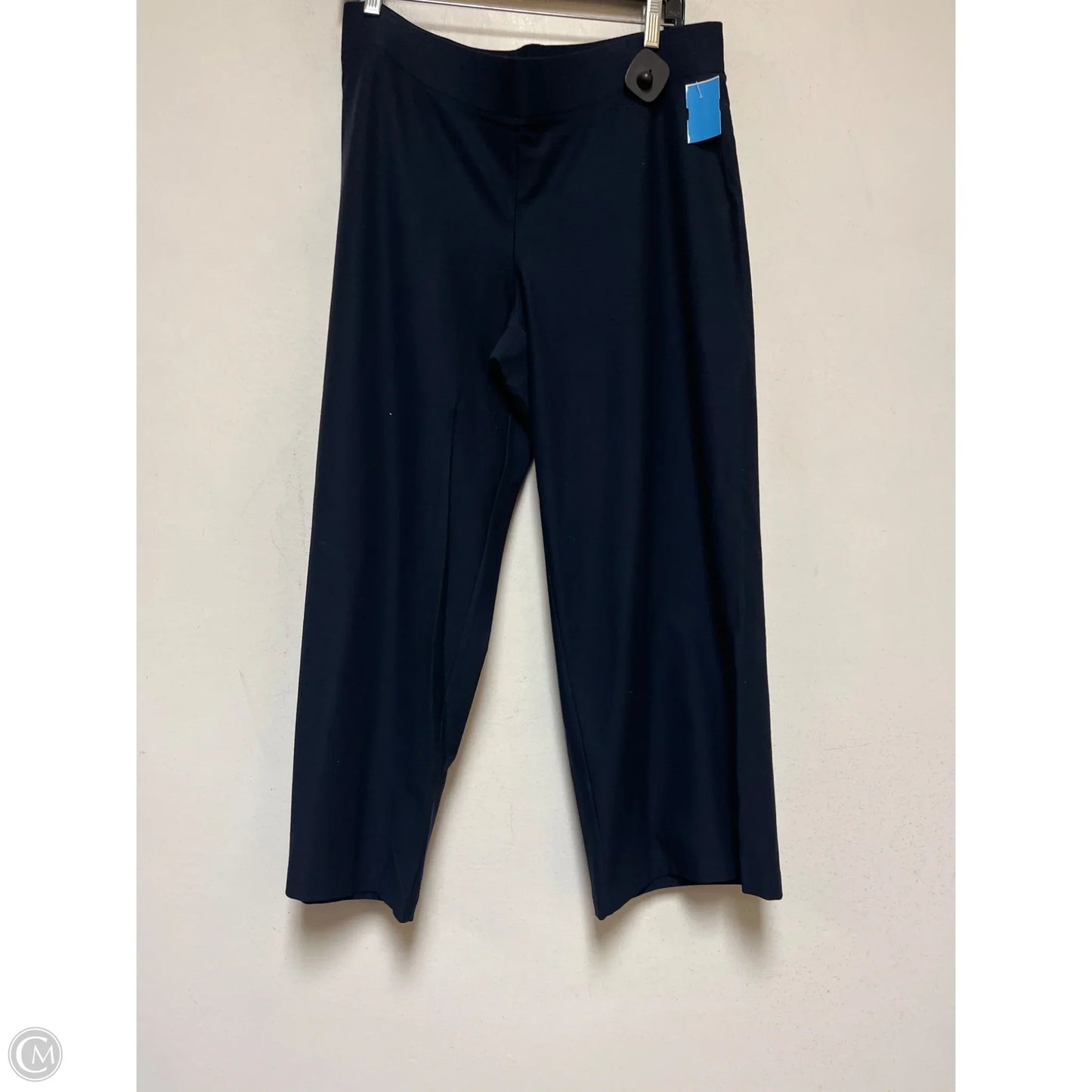 Pants Other By Eileen Fisher In Navy, Size: 12