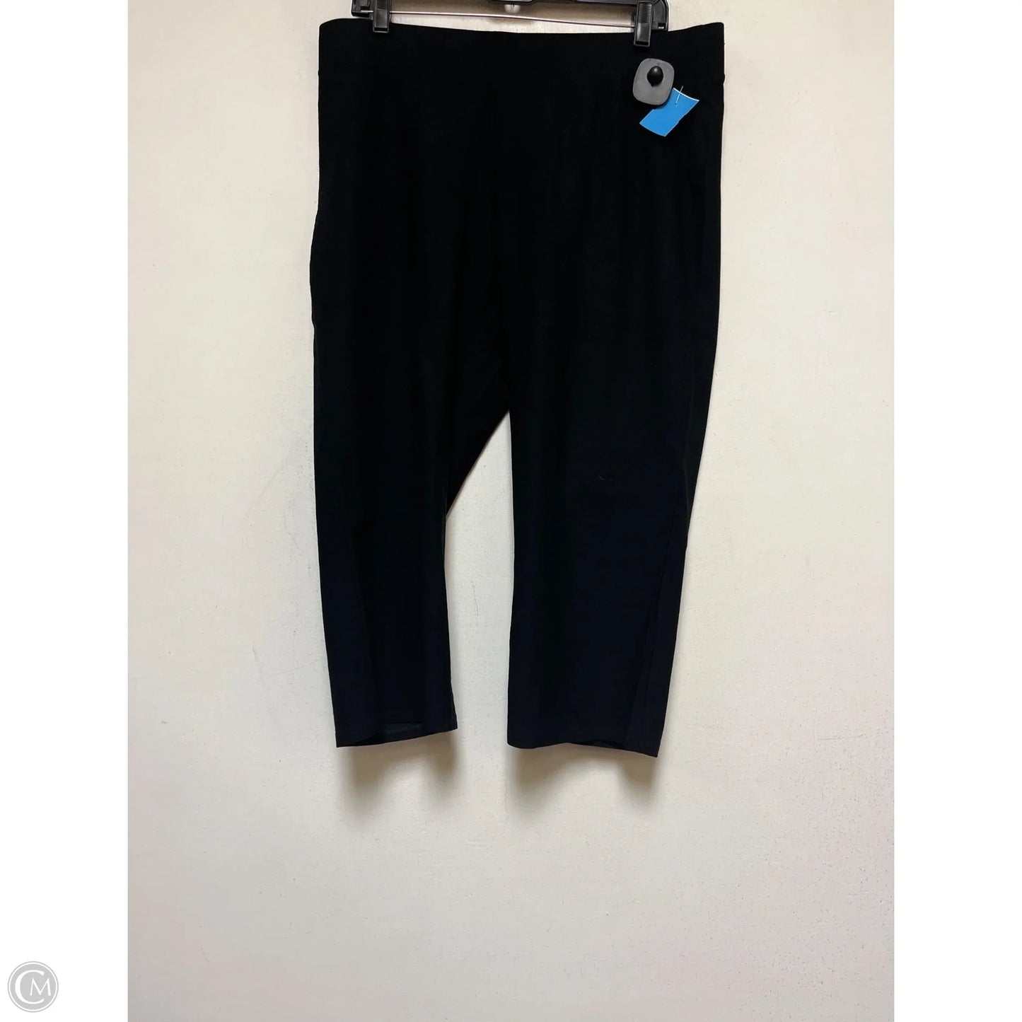 Pants Other By Eileen Fisher In Black, Size: 12