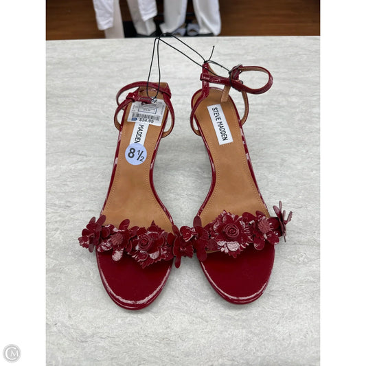 Sandals Heels Kitten By Steve Madden In Red, Size: 8.5