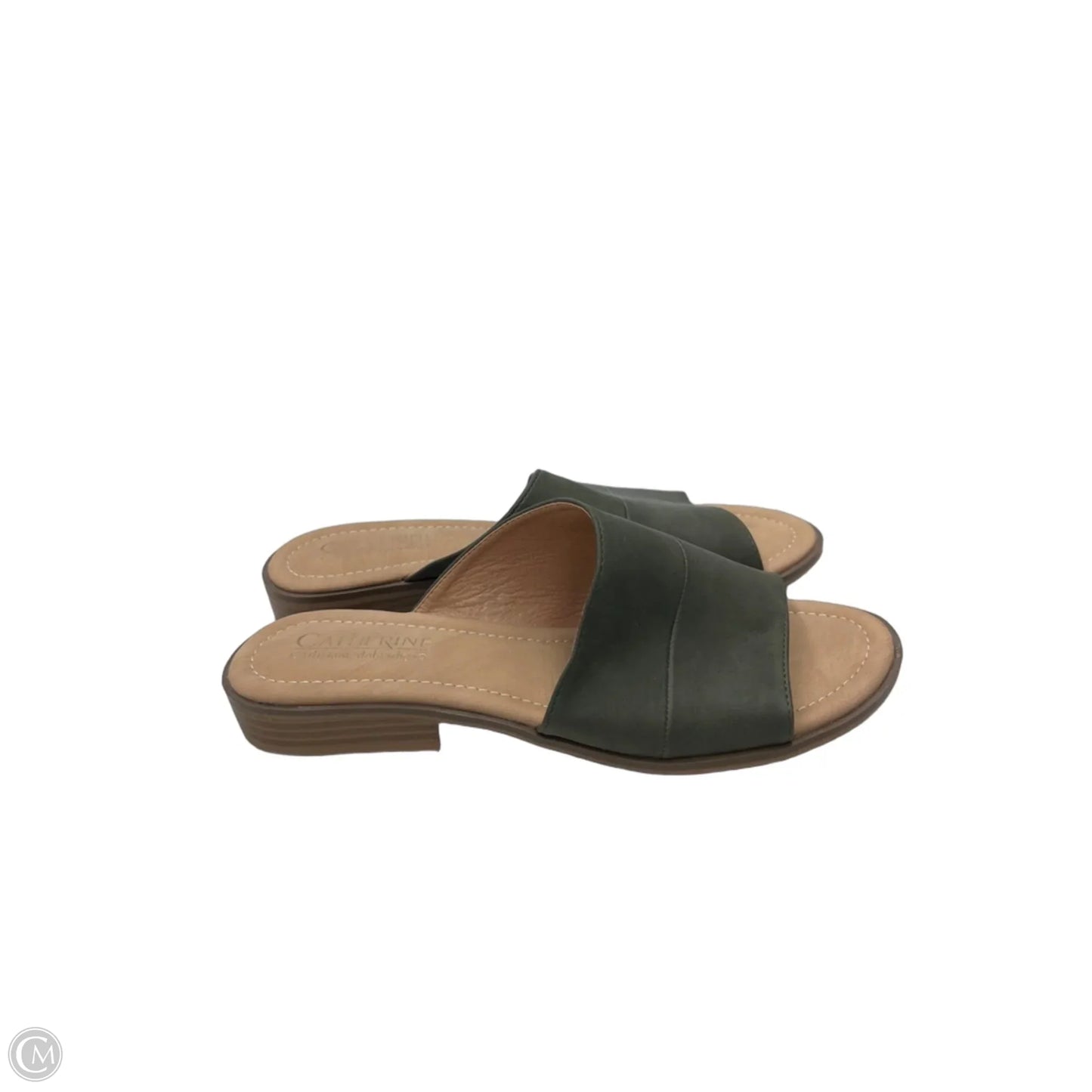 Sandals Flats By Catherine Malandrino In Green & Tan, Size: 9.5