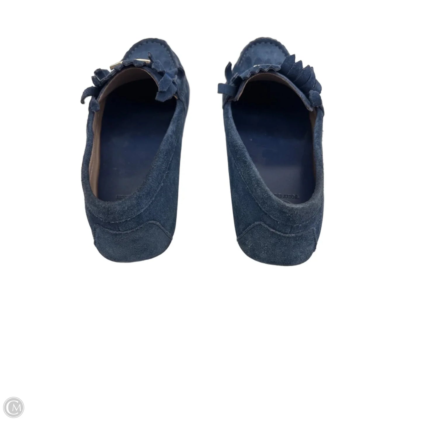Shoes Designer By Tory Burch In Blue, Size: 7