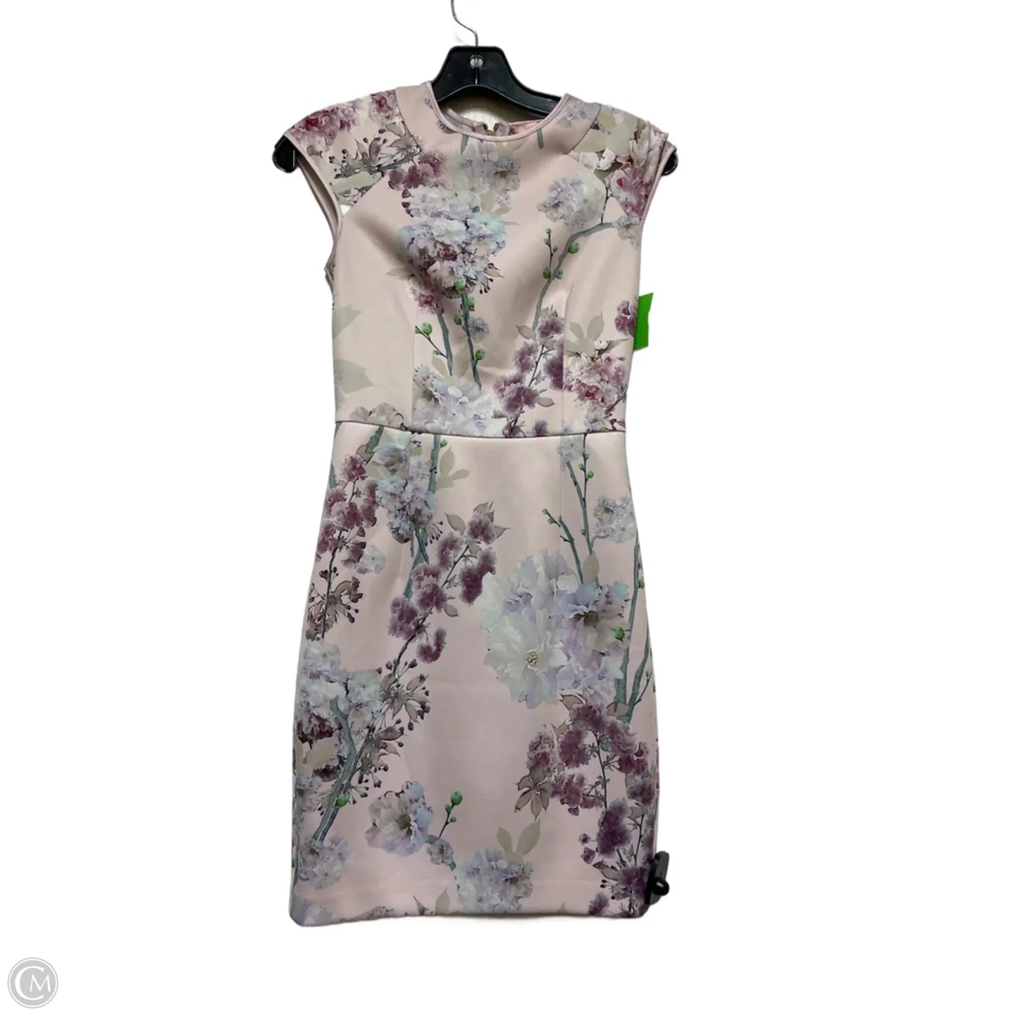 Dress Casual Short By Ted Baker In Floral Print, Size: Xs