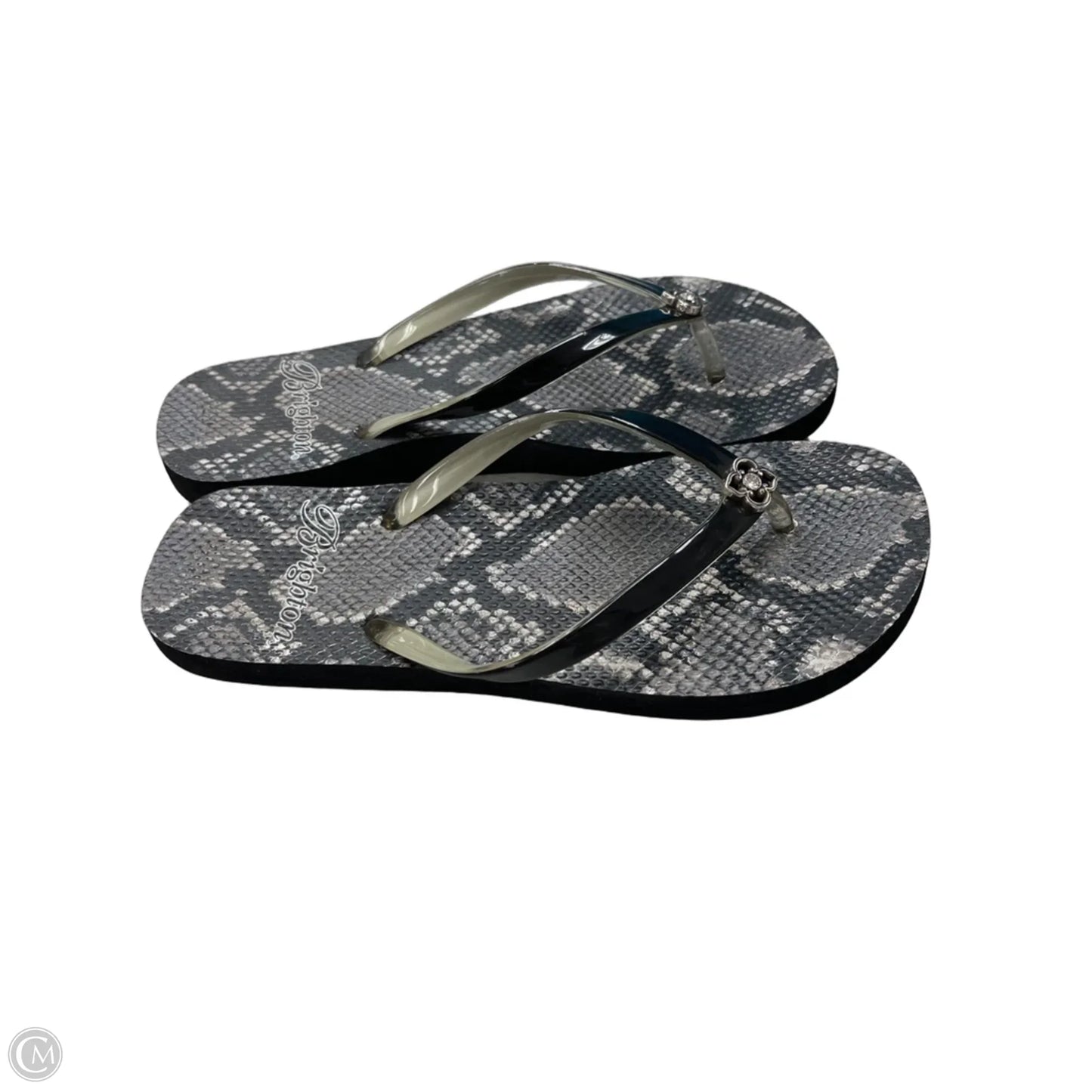 Sandals Flip Flops By Brighton In Snakeskin Print, Size: 7