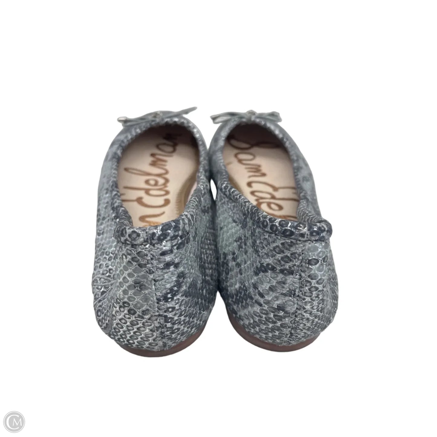 Shoes Flats By Sam Edelman In Silver, Size: 7