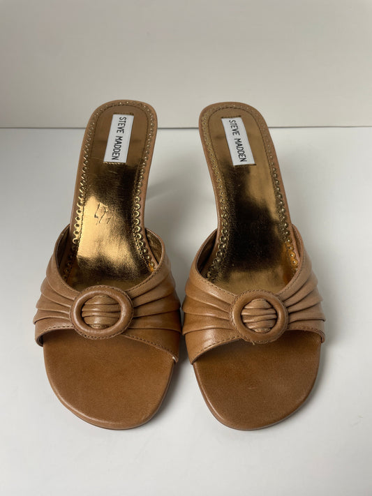 Brown Shoes Heels Kitten Steve Madden, Size 8.5