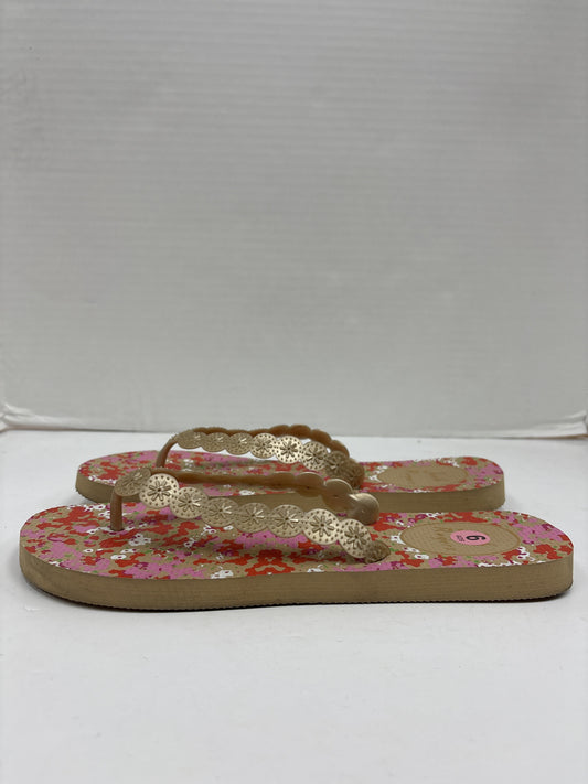 Sandals Flip Flops By Jack Rogers  Size: 9