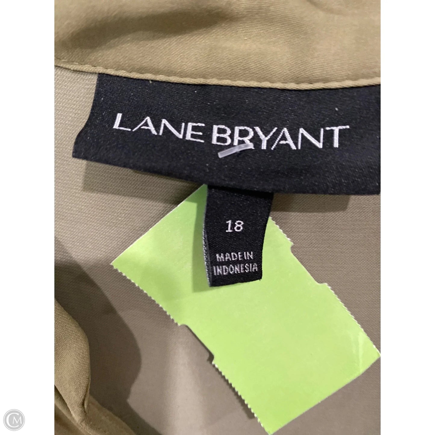 Top Sleeveless By Lane Bryant In Green, Size: 1x