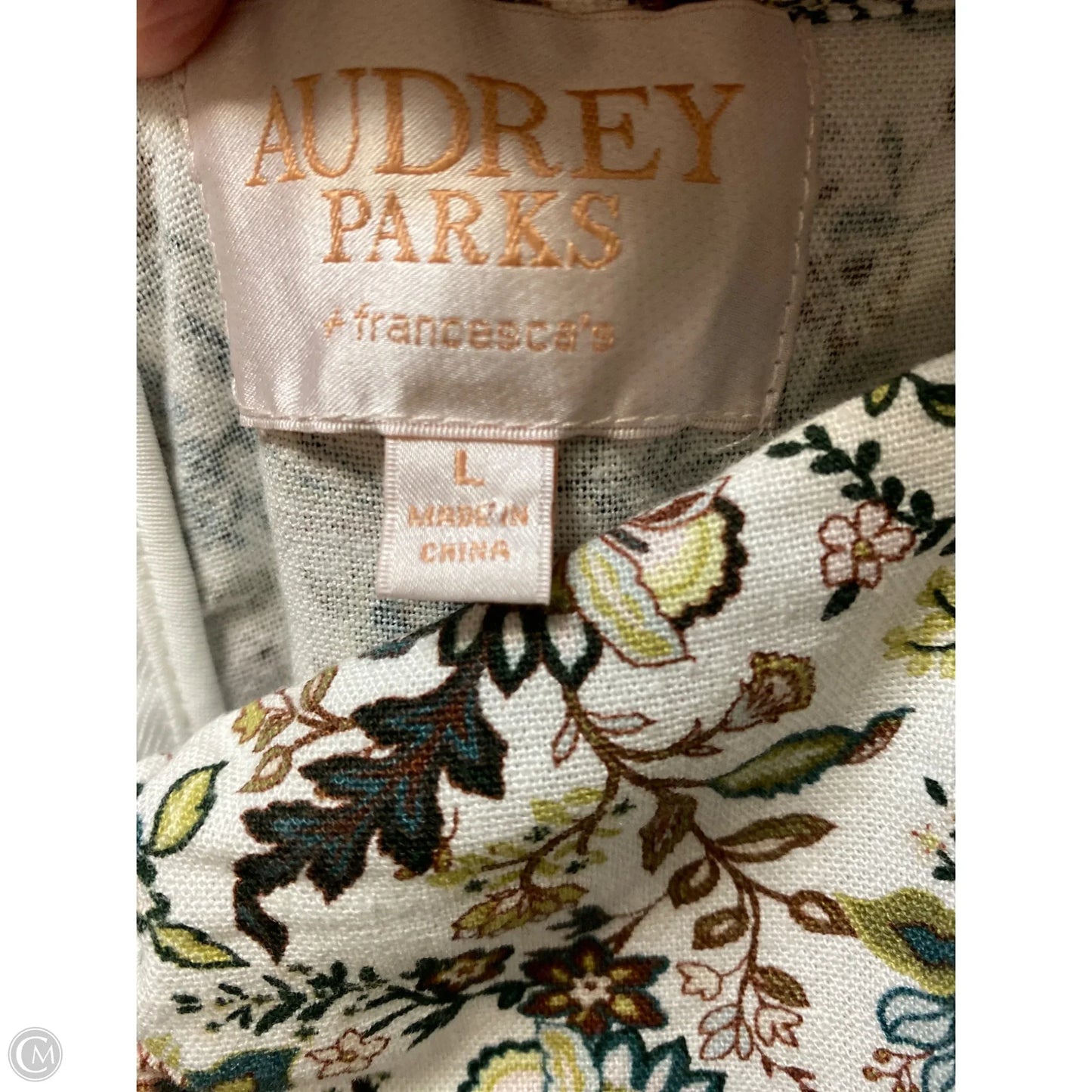 Dress Casual Maxi By Francesca's In Green, Size: L