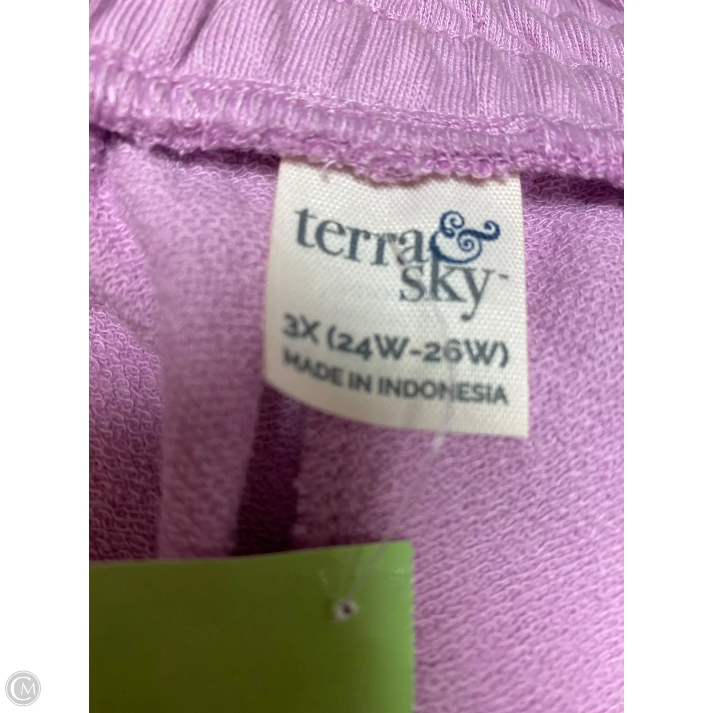 Shorts By Terra & Sky In Purple, Size: 24