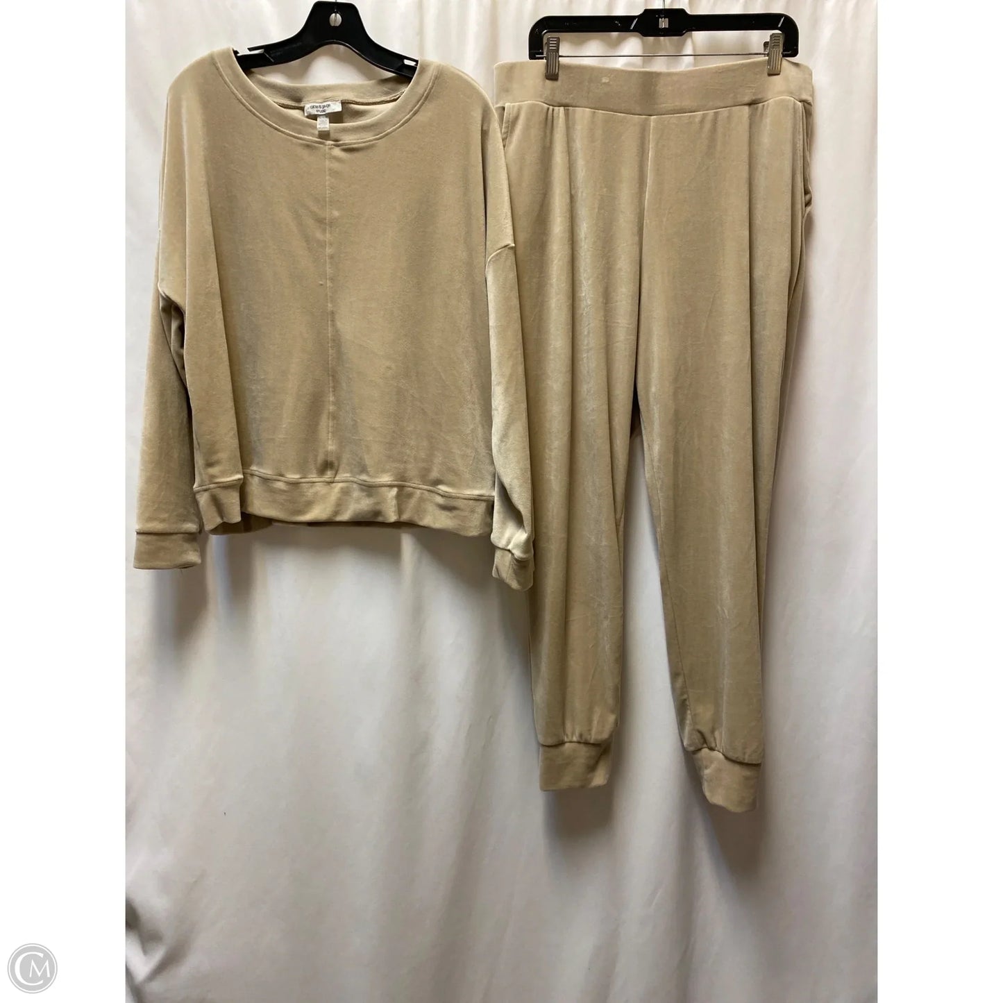 Pants Set 2pc By Cable And Gauge In Beige, Size: Xl