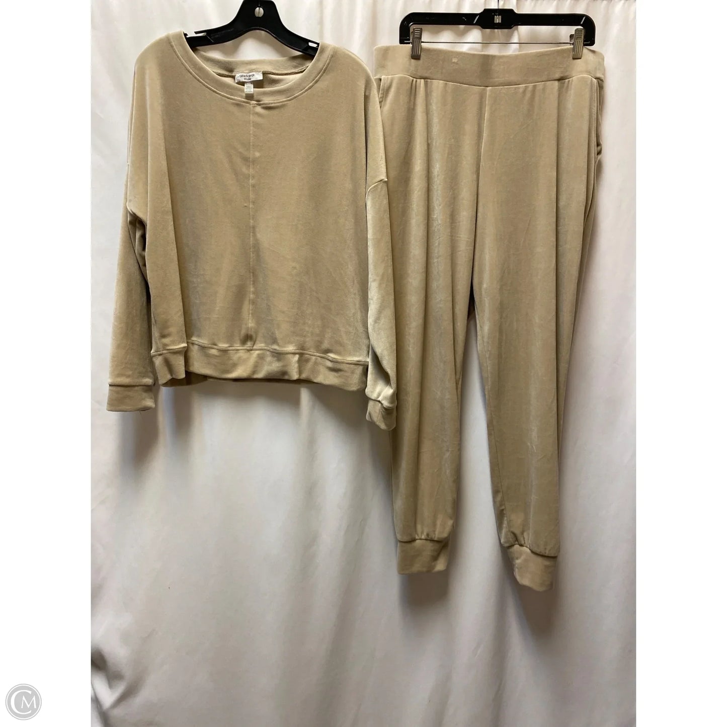 Pants Set 2pc By Cable And Gauge In Beige, Size: Xl