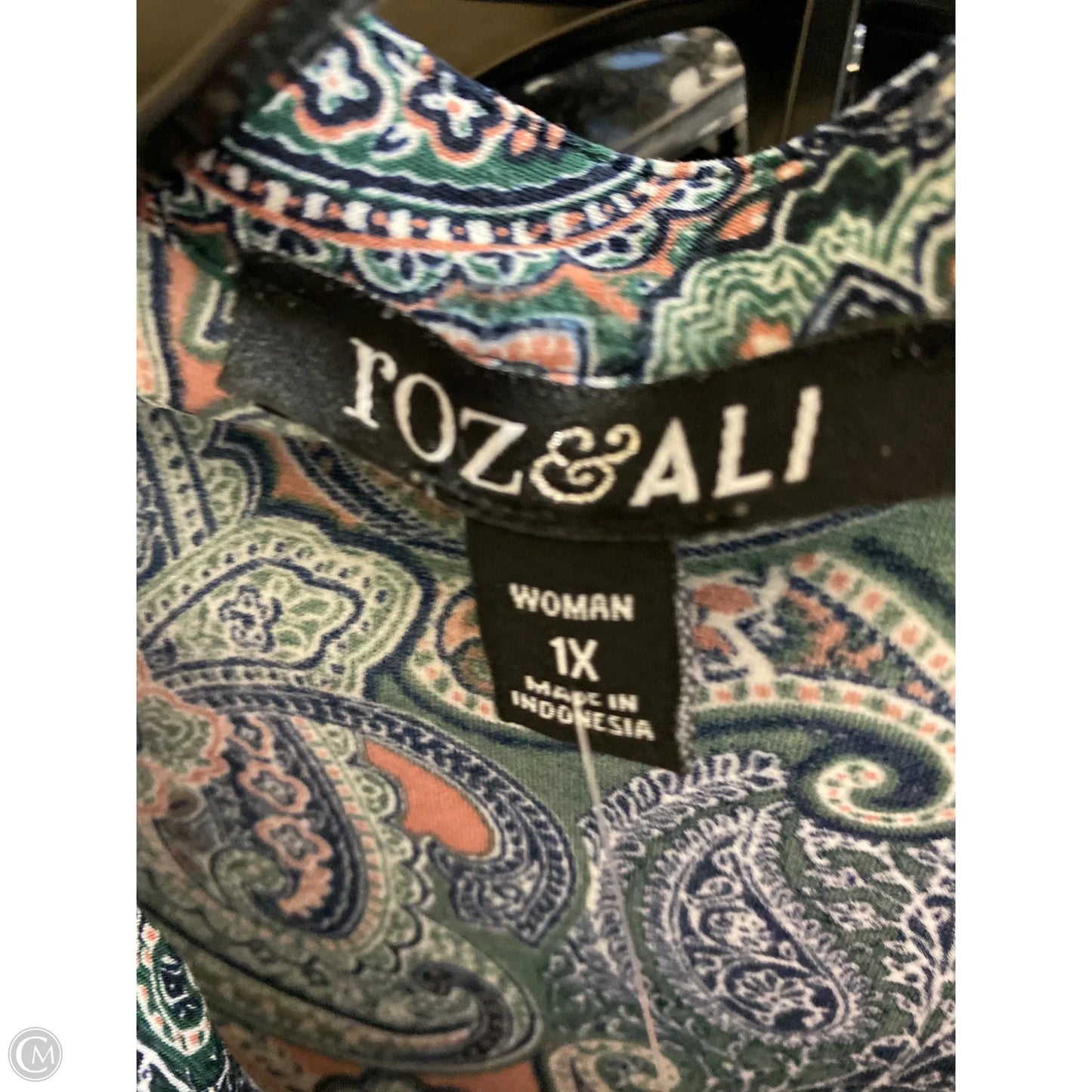 Top Long Sleeve By Roz And Ali In Paisley Print, Size: 1x