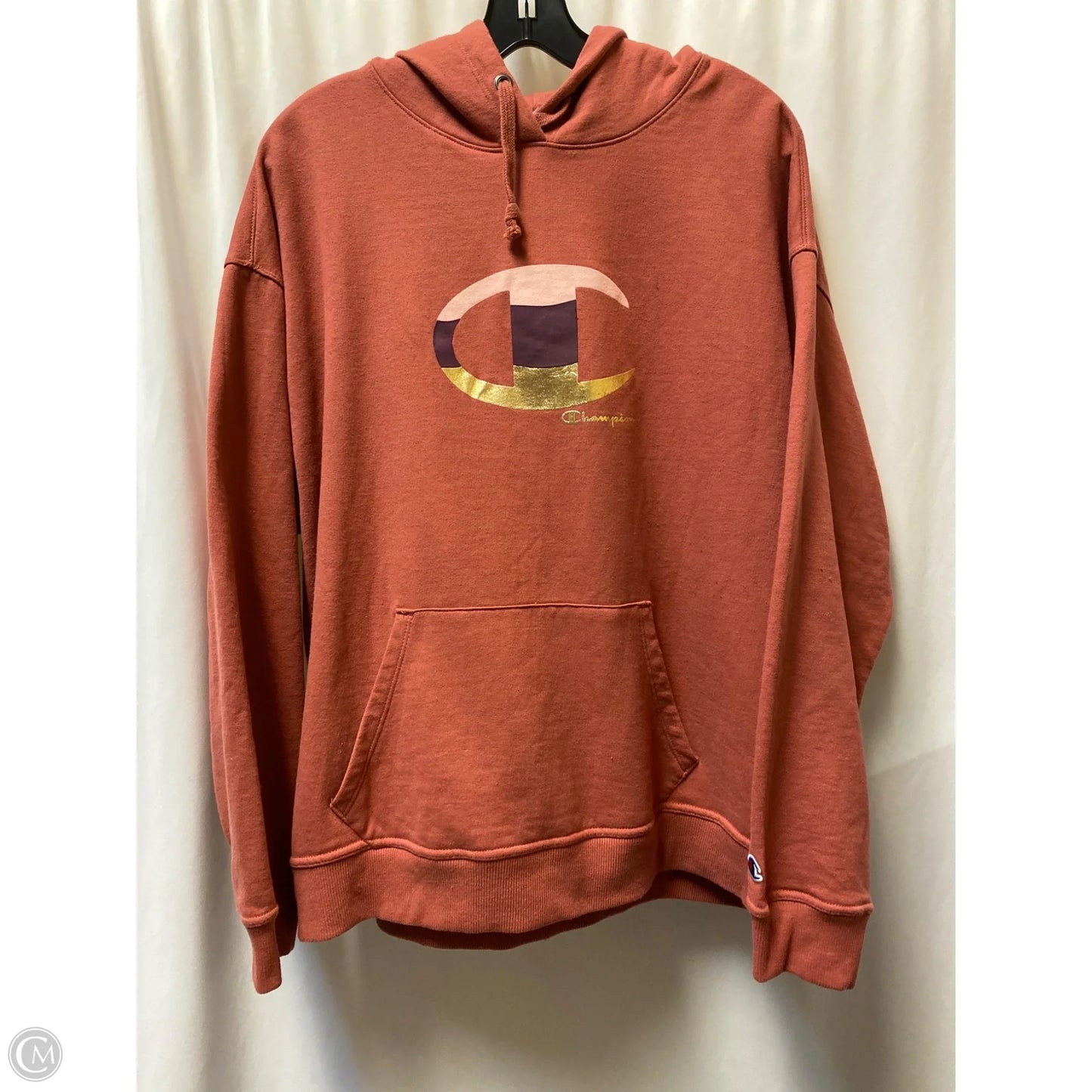 Sweatshirt Hoodie By Champion In Mauve, Size: 2x