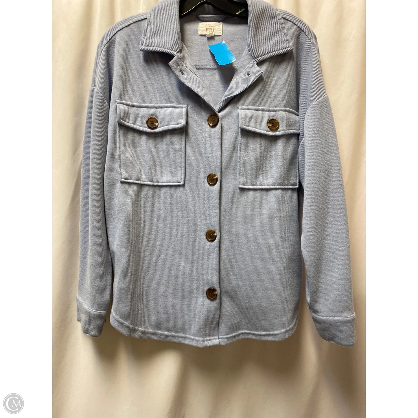 Top Long Sleeve By Hippie Rose In Blue, Size: Xs